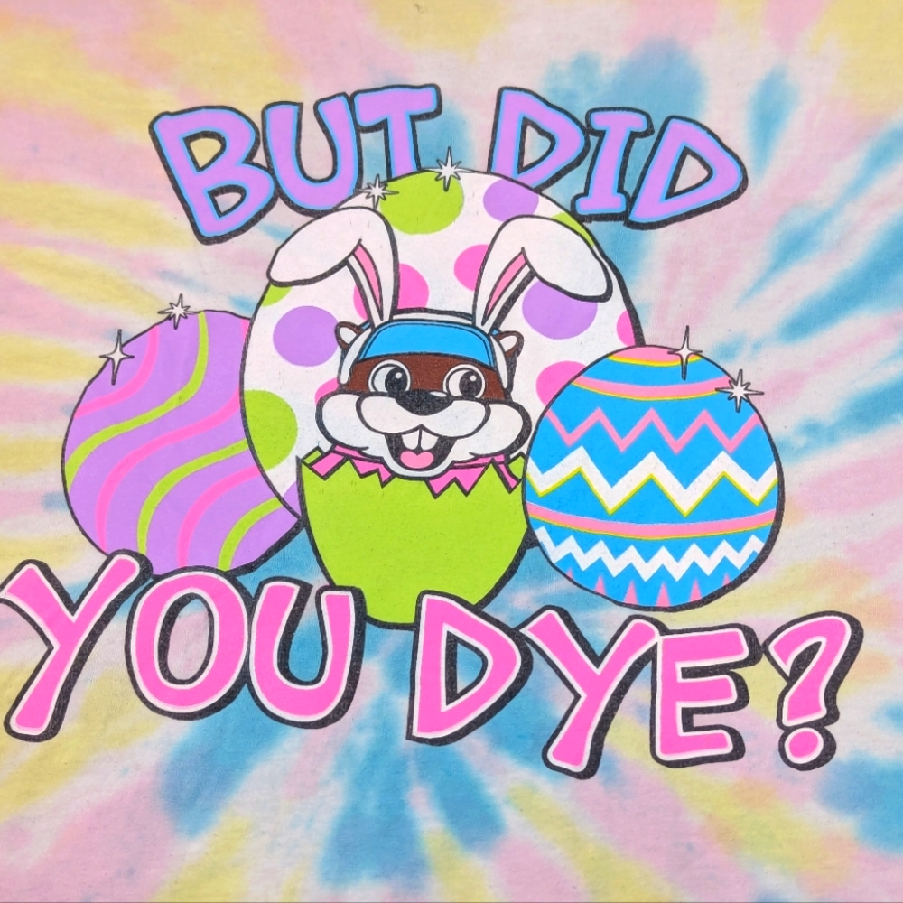 BUC-EE'S Easter Egg "But Did You Dye" Tie Dye Tee 2XL
